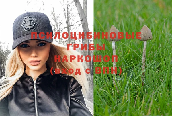 твердый Аркадак