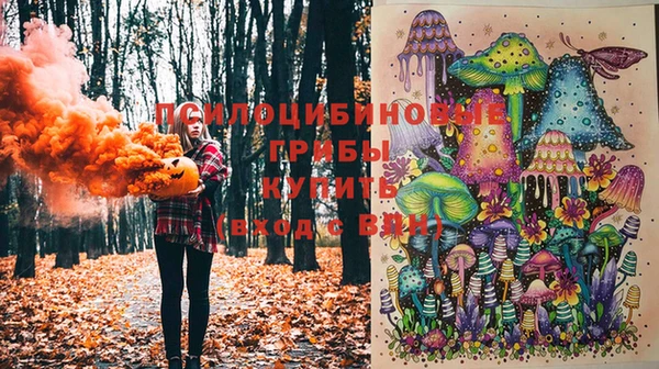 прущий лед Арсеньев
