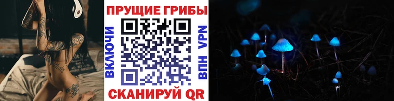 shop какой сайт  Лесосибирск  Псилоцибиновые грибы Cubensis  купить  